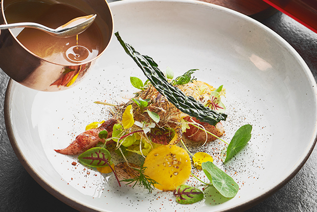 Suhring-ASIA-2019-DISH1